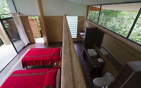 Canto de la Selva Jungle Lodge Selva Lacandona Chiapas